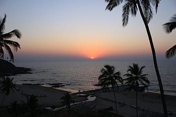 Goa beach with palm trees and sunset