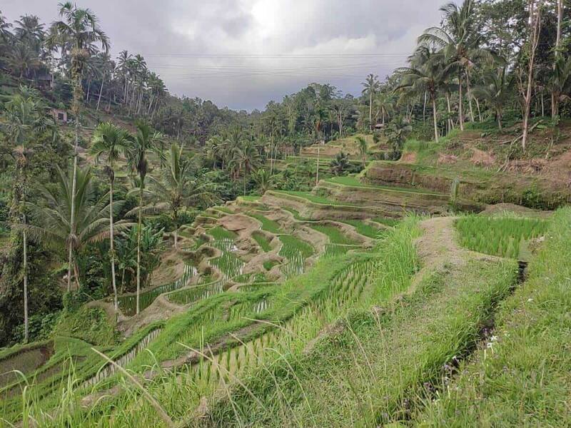 Bali — Island of Romance