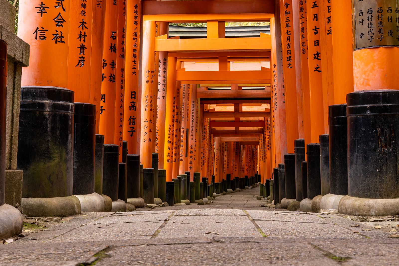 Japan — Land of the Rising Sun