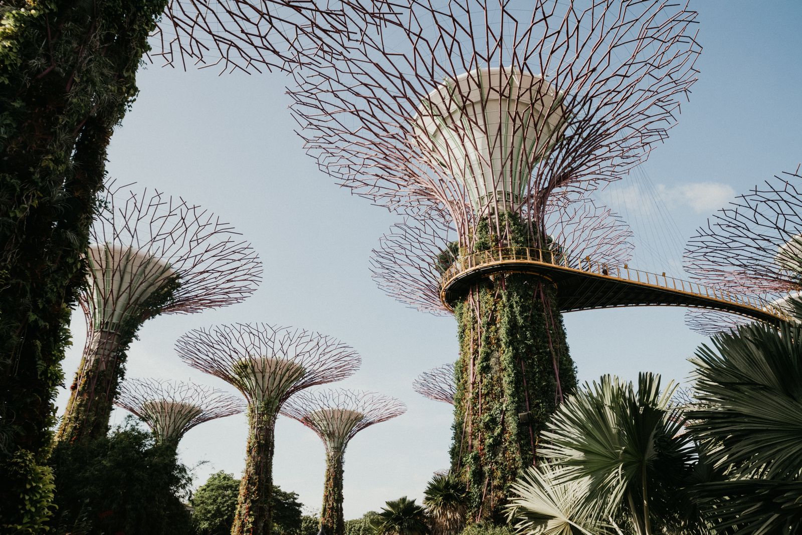 Singapore — Lion City Fun