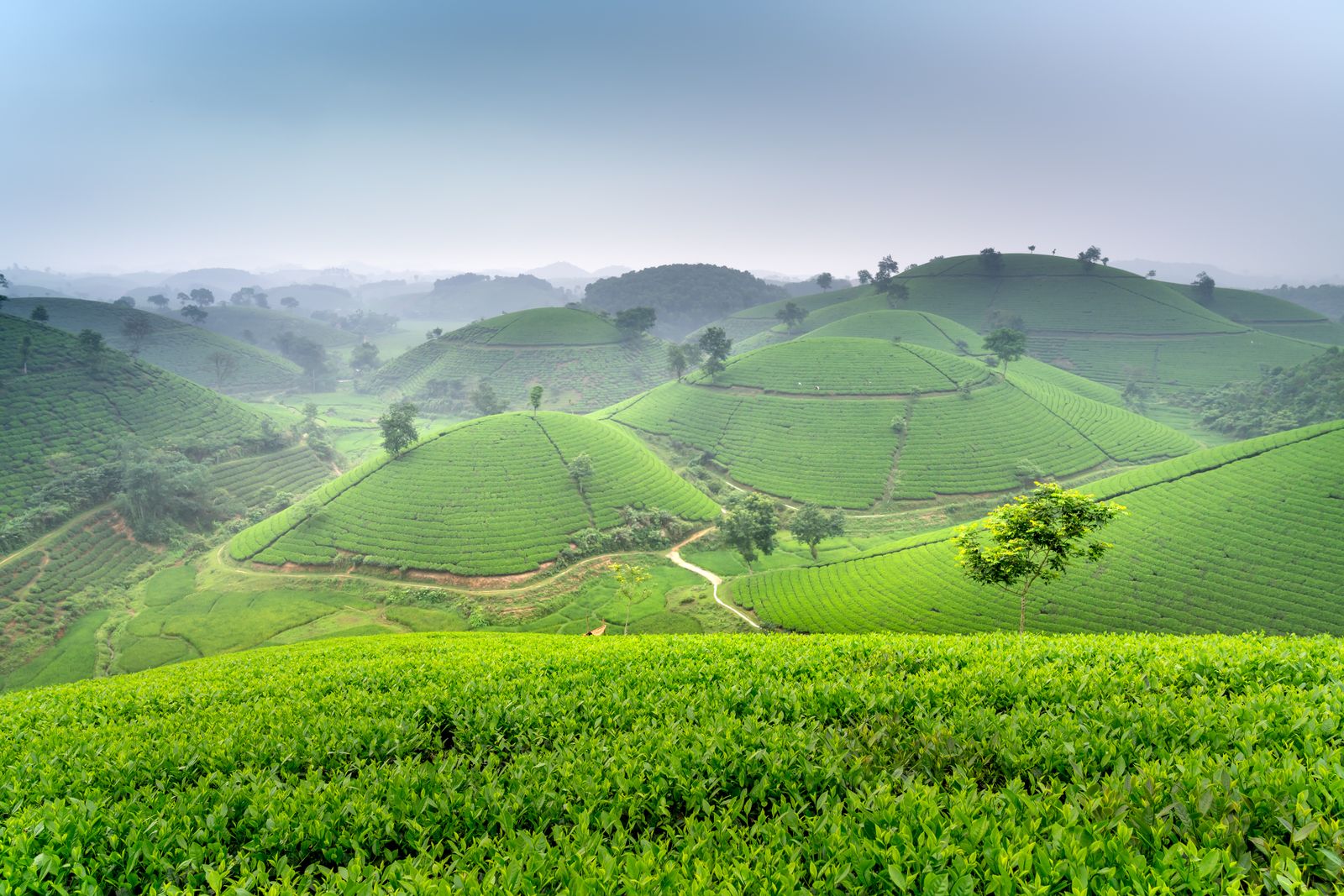 Sri Lanka — Island Escape