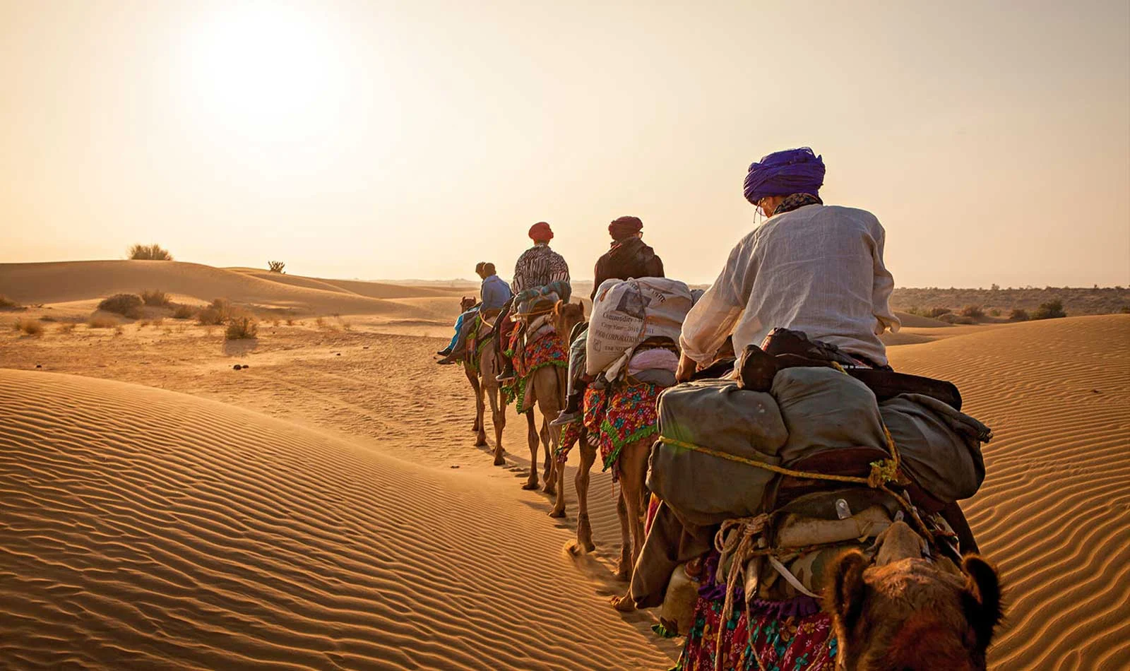 Rajasthan desert palace and camel safari